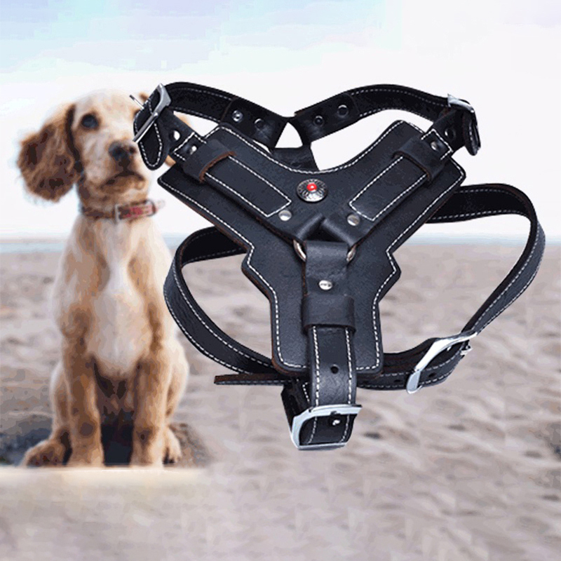 Kulit Asli Layanan Anjing Harn - Leather Work Vest ulasan dan harga