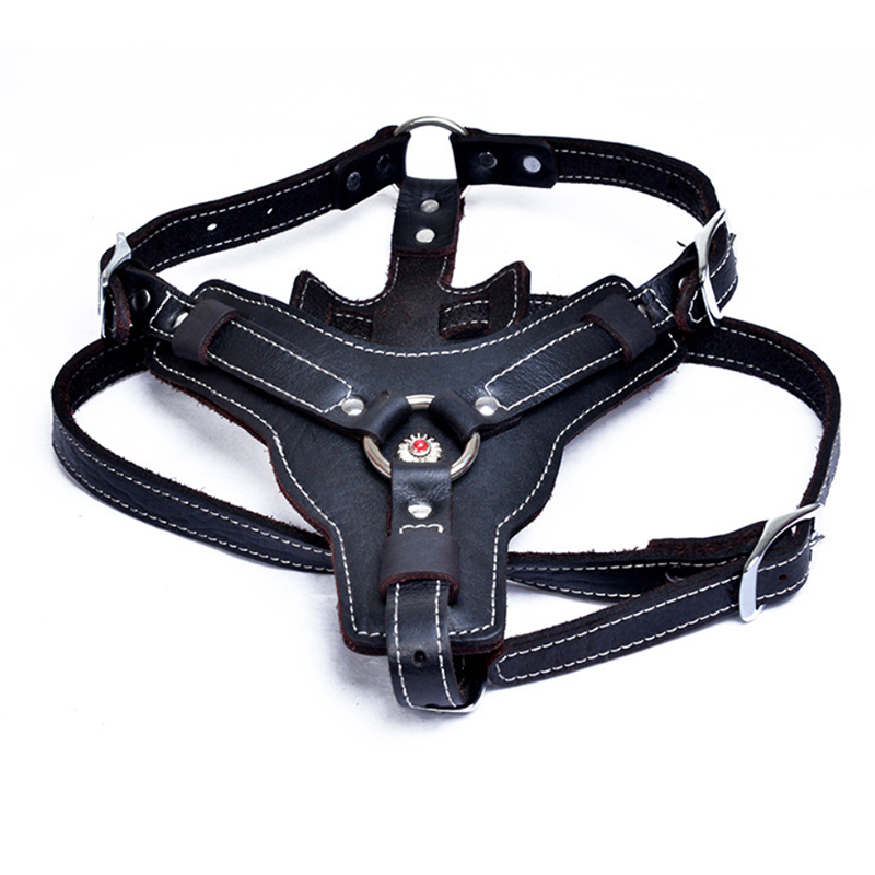 Kulit Asli Layanan Anjing Harn - Leather Work Vest ulasan dan harga