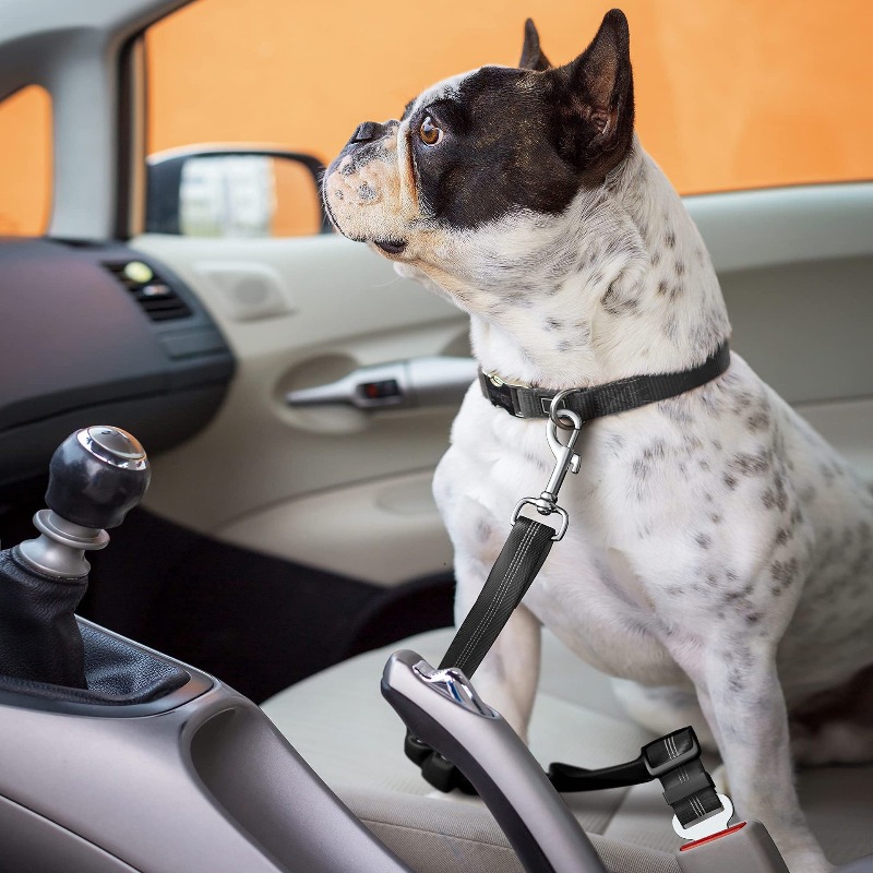 Set Harness Mobil Anjing yang  - Snap Fastener Setter ulasan dan harga